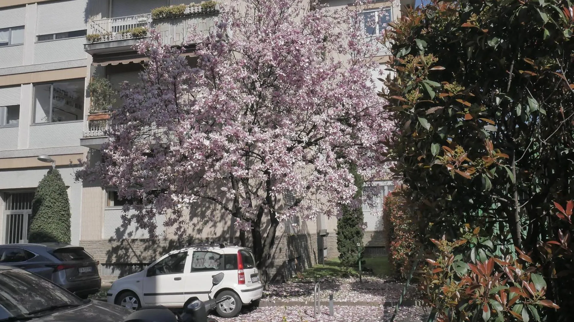 Ferienwohnung Garden Flat Mailand Apartment